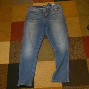 Signature by Levi Strauss Men's Straight Light Blue Jeans